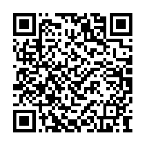 因此没有看到身后的陈君默眼底的温柔有多醉人二维码生成