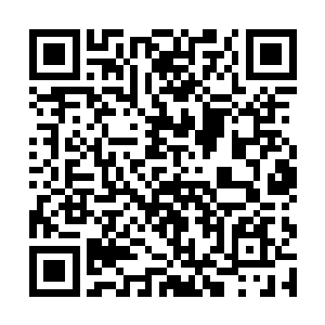 因此玄日不但教了他如何分辨有问题的饮食以求自保二维码生成