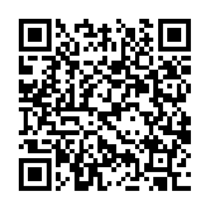 因此能知道劫掠自己药园的是一名仙帝和一名仙尊二维码生成