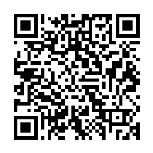 因此茜茜公主并不是知道中国已经代表奥地利与法国达成了同盟二维码生成