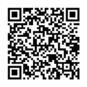 因此这一个个立时都跟锯了嘴的葫芦一样不言不语二维码生成