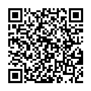 因此闻淑珍才以为这些设计图是林小乖自己闲来画的二维码生成