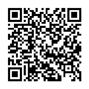 因此魔鬼白磷蛇兽魂一感受到雷林真灵熟悉的灵魂气息二维码生成