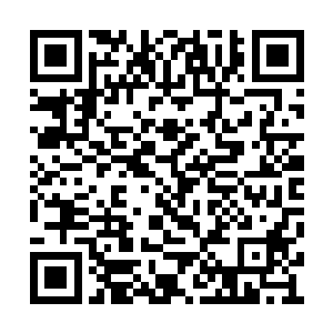 因此黄汉并没有把握能够把靳空带到这竹海岛上二维码生成