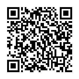 因此龙傲天的这些举动在他看来只是一些高人的特殊的癖好二维码生成