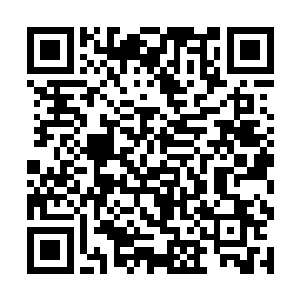 因海姆的震颤掌更是非常克制巫师的法力护甲的绝技二维码生成