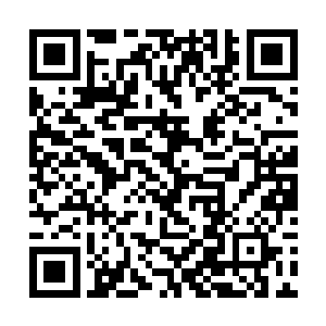 因谢芳华的休息之日与秦铮的休息之日是一并安排的二维码生成
