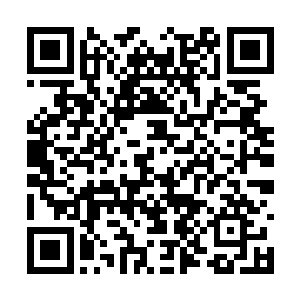 团员们都反应或多或少受到某些学生的挑衅和欺负二维码生成