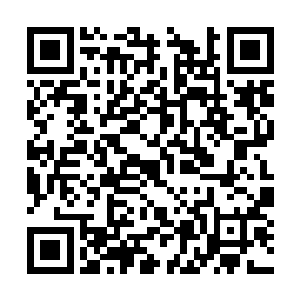 围困着邦德他们这个圈子的另外三头巨狼突然转身二维码生成