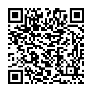 围殴千夜的这些家伙大半会在接下来的一段时间内被淘汰二维码生成
