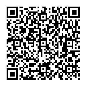 国内游的安慰奖……总之这次的钓鱼比赛也是这个度假村花费了相当大手笔搞出来的二维码生成