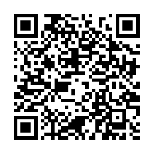 国内的公映日期就早于美国――它背后是大土豪dmg二维码生成