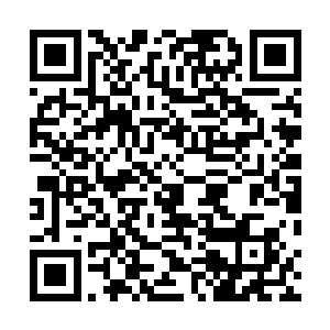 国务院总理朱镕基率领着新政府成员走进记者招待会现场二维码生成