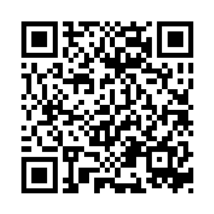 国家会不求回报地庇护他们以及他们的亲人二维码生成