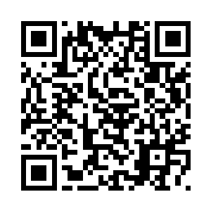 国家军队的总指挥官――总统先生二维码生成
