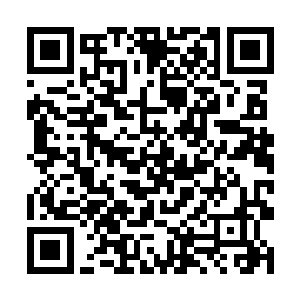 国际兰花协会为了此次的比赛派出了最强大的观察团二维码生成