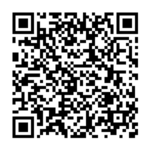 国际海洋协会的考察组在考察完首尔和东京后终于出现在了云东市二维码生成