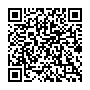 圆圆的脸蛋上一双乌溜溜的大眼睛扑哧扑哧地闪烁着羞涩的神采二维码生成