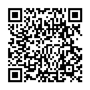 圆环和墨镜便是系统利用念能石特性拟化而出的精神控制装置二维码生成