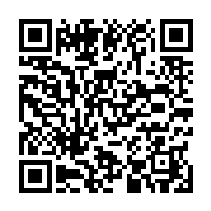 土包子姐夫的肠子都被画儿姐姐从她肚子里扯出来那么长二维码生成
