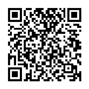 土地公看着资料之中那个天使面容魔鬼身材笑容灿烂的小美女二维码生成