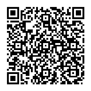 土耳其政府是把这些南部山区一直在试图建国的库尔德工人党当成反动派来围剿的二维码生成