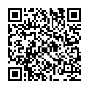 圣域巅峰九重天乃是仅次于圣域小圆满境界的存在二维码生成