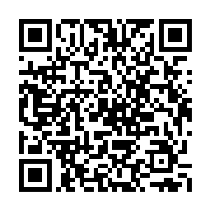 圣斗士大混战那段咱们就在这边拍就可以吧……二维码生成