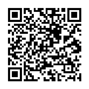 圣杯争夺战也算是三环高塔设立的一个庆祝的日子二维码生成