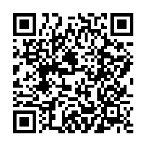 圣极门的所有人被云起舞嘲讽和辱骂的时候不敢吭一声二维码生成