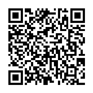 圣武士格里芬才将解除小女孩身上诅咒的希冀寄托在了圣光城上二维码生成