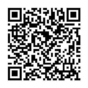 圣灵王就感觉是有一座巍峨的山峰撞在自己身上二维码生成