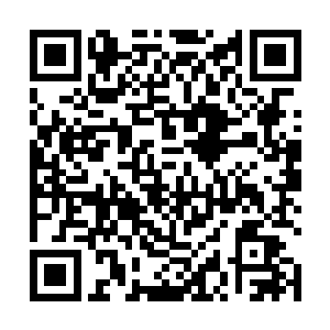 圣王境界的飞天蚁比大地圣师境界的飞天蚁强大太多了二维码生成