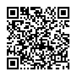 圣界强者体内的能量全是以圣界那边的本源之力凝练而成二维码生成
