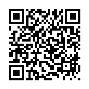 圣盟入侵舰队的整体规模和战斗力二维码生成