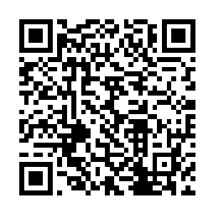 圣级九层后期巅峰大修士的元神之力那是极其磅礴的二维码生成