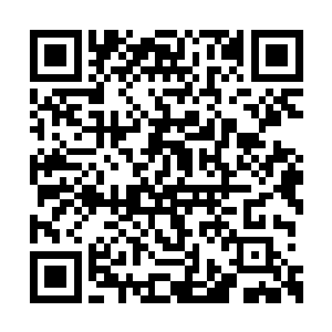 圣级十足丹在品质和等级上又将产生质地的飞跃二维码生成