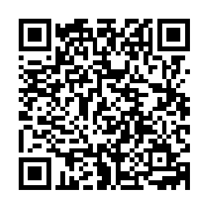 圣莫妮卡海岸的狂风在桃乐丝钱德勒大厅前方的广场上肆意张扬二维码生成