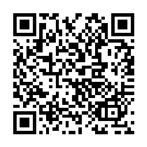 在一两年之内骑龙岭风景区没有完全火爆起来时还能行二维码生成