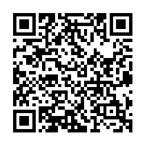 在一小队精锐的骑士和莫德尔先生雇佣军二号队长队的护送下二维码生成