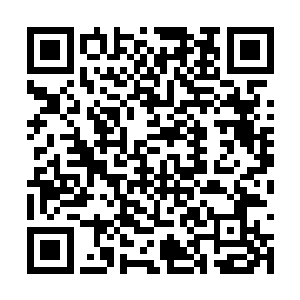 在一旁的李雨彤也是笑嘻嘻地挽住林烽的手臂说道二维码生成