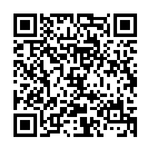 在一班正在认真埋头看书的棠朵朵平时可是乖乖女二维码生成