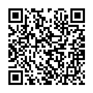 在一眼看到海岸边已经先一步到的夭华后慢慢放缓速度二维码生成