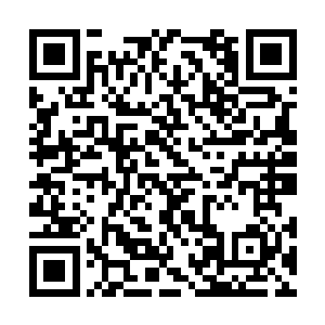 在一瞬间就对苏林的脊椎造成了难以想象的压迫力二维码生成