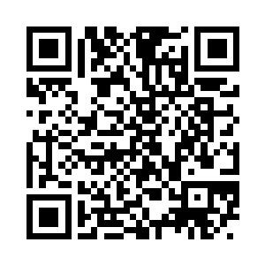 在一间完全由绿色植物组成家具的办公室里面二维码生成