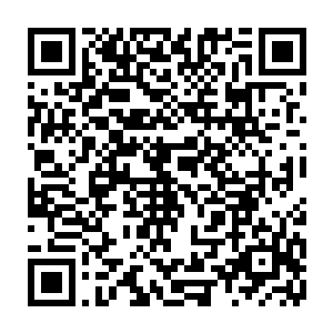 在三十三天和天外天也找不出哪一个城市能够跟周天圣城的面积相提并论的二维码生成