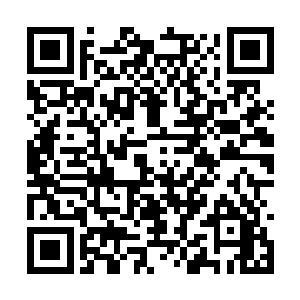 在上元大陆依旧有修士在不远万里地来到破碎山脉二维码生成