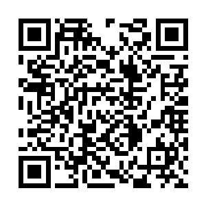 在上野寺外的湖心岛上便会举行一年一度的樱花祭二维码生成