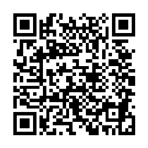 在上面批阅了撤职查问的批语就直接转到刑部去了二维码生成