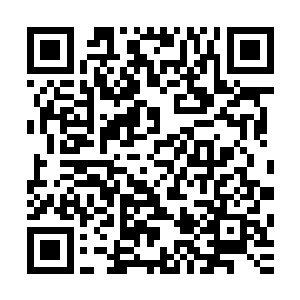 在下只是想…求公子代为引荐一下清尘公子或者韩公子也可以二维码生成